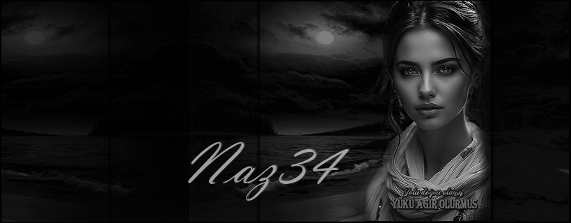 [Resim: 12664cef-Naz.jpg]